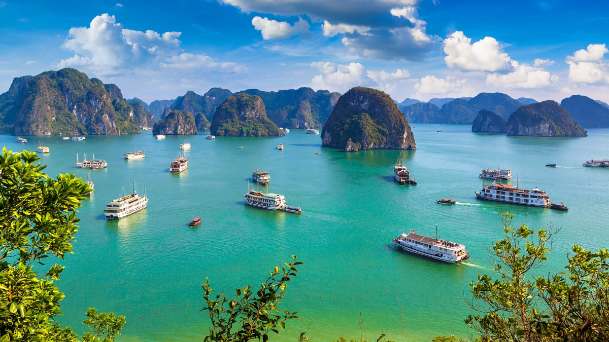VỊNH HẠ LONG - HẠ LONG CITY - BÃI CHÁY 2N1Đ
