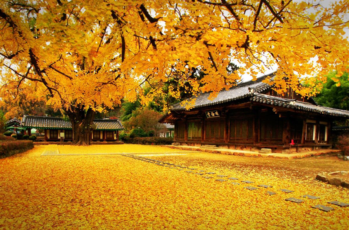 HÀN QUỐC - SEOUL - NAMI - EVERLAND 5N4Đ