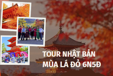 TOKYO – NÚI PHÚ SỸ - NAGOYA- KYOTO – OSAKA 6N5Đ